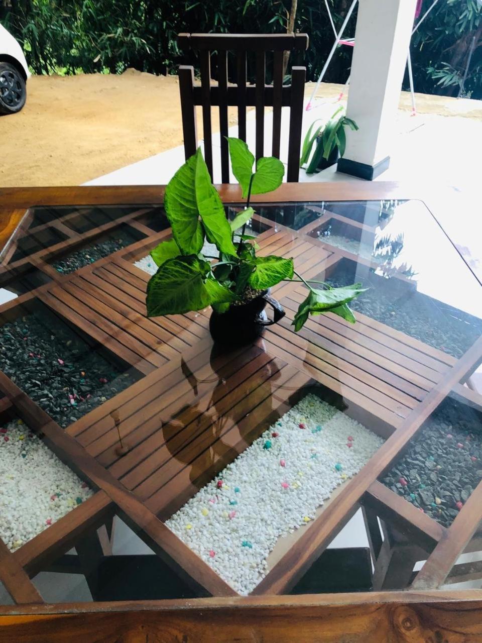 Hotel Mississipi Ella Ngoại thất bức ảnh